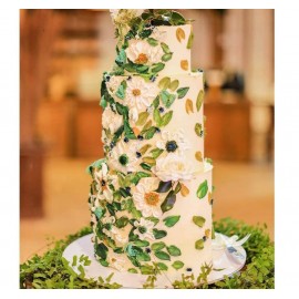 3 Layer Colored Wedding cake